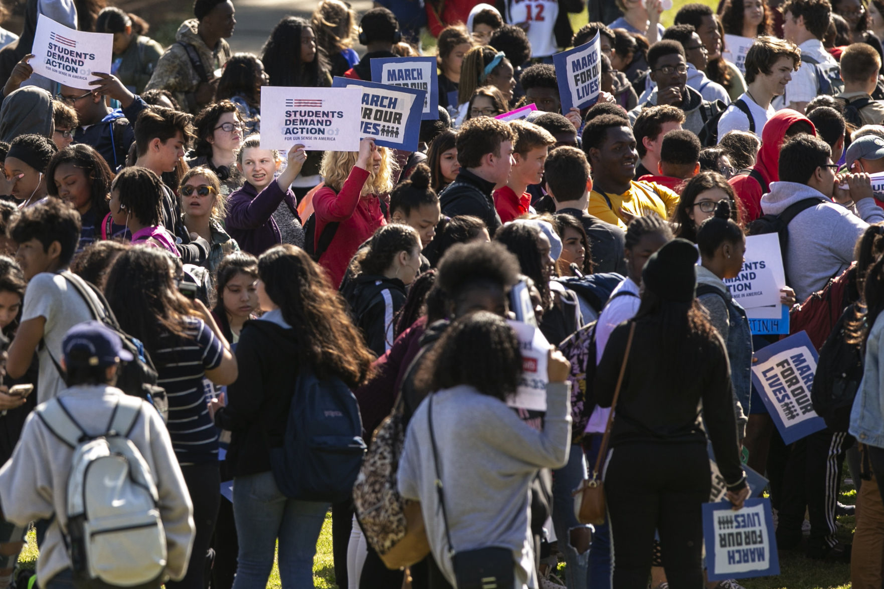 School Shooting Student Protests